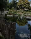 nep.tune.ee Altpins Profile Picture