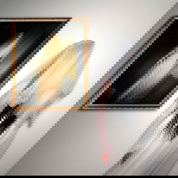 nevaaadaa nevaaadaa archive image