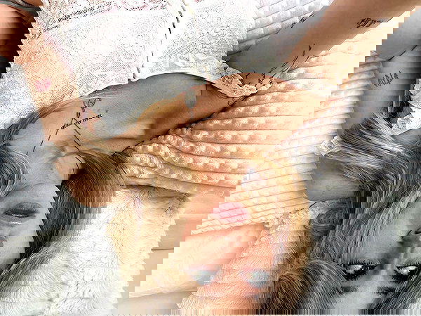 nevaaadaa nevaaadaa archive image