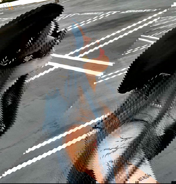 nevaaadaa nevaaadaa archive image