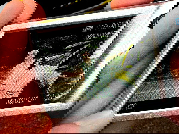 nevaaadaa nevaaadaa archive image