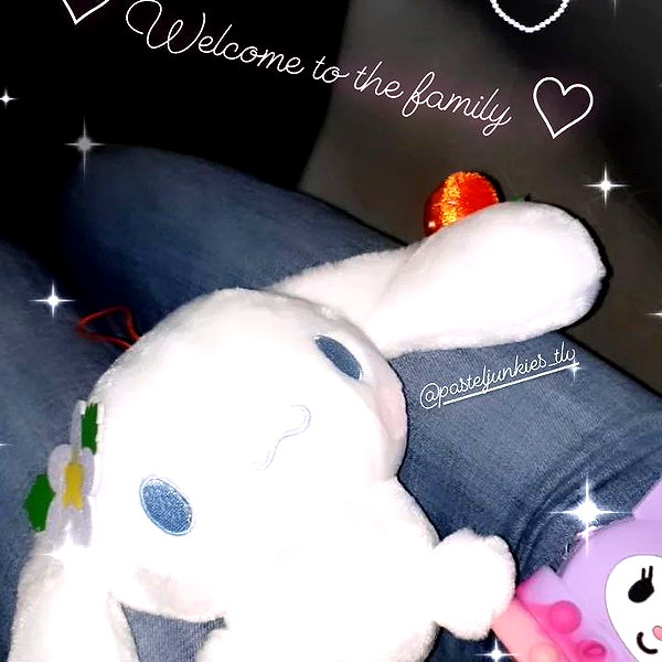 nicakitty nicakitty archive image