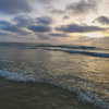 nicol.rochlin Altpins Profile Picture