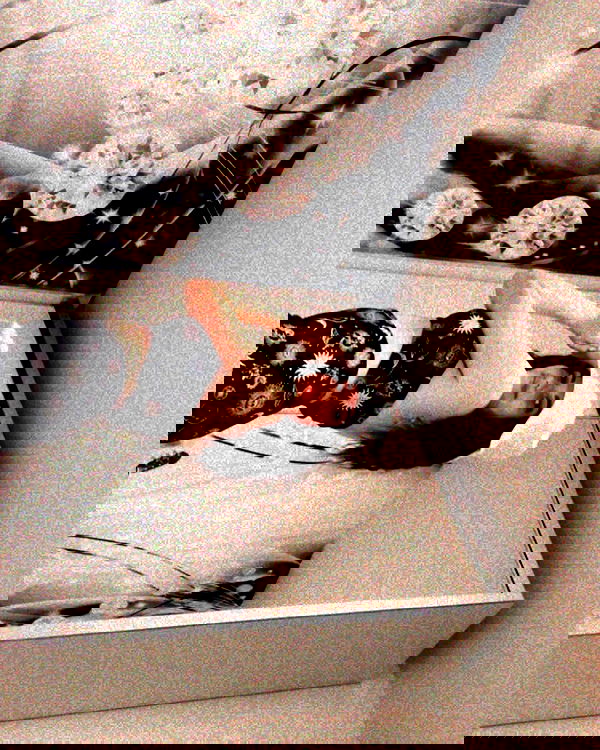 nicole.shpo nicole.shpo archive image