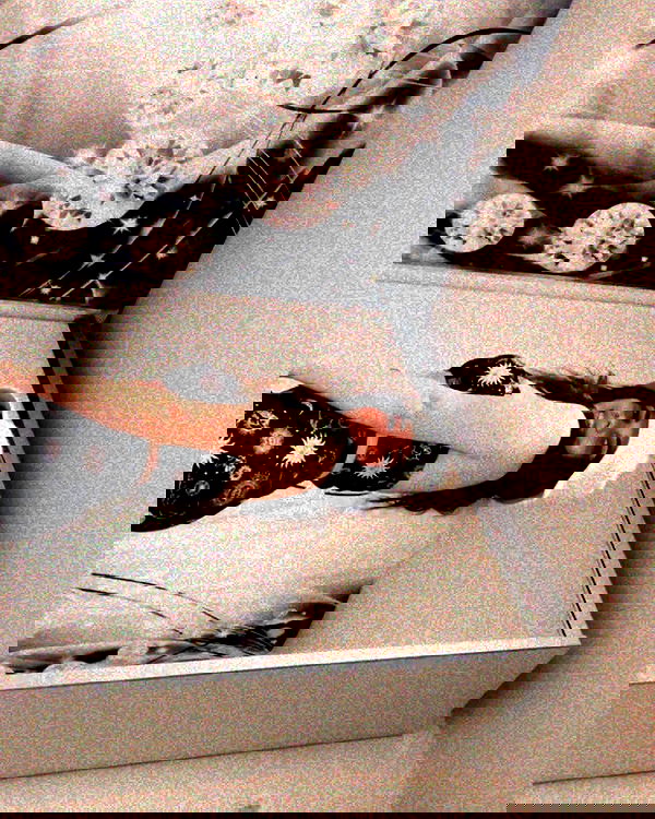 nicole.shpo nicole.shpo archive image