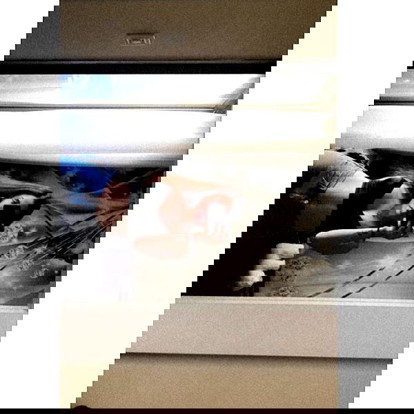 nicole.shpo nicole.shpo archive image