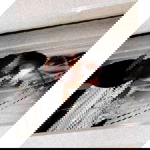 nicole.shpo nicole.shpo archive image