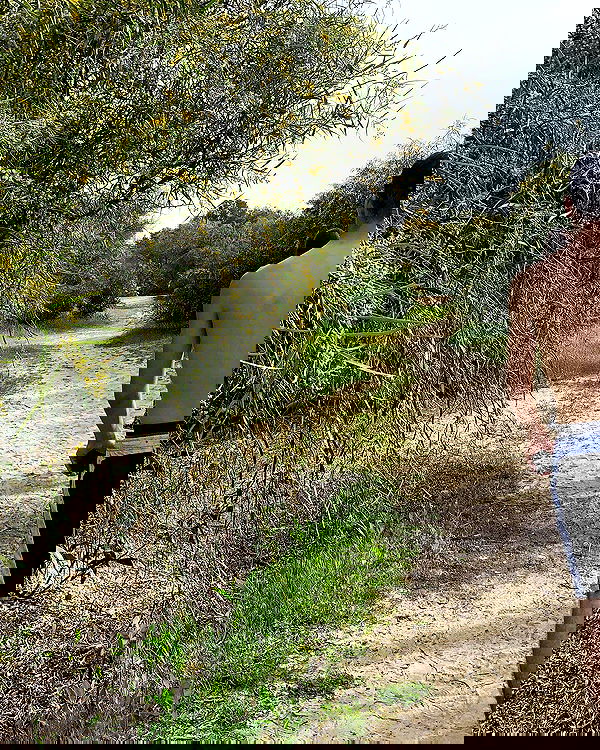 nicole.shpo nicole.shpo archive image