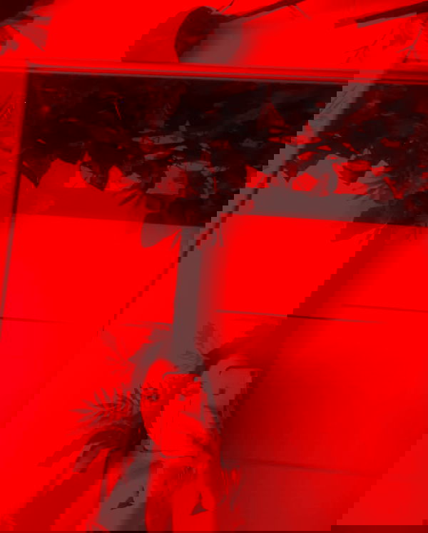 nicole.shpo nicole.shpo archive image