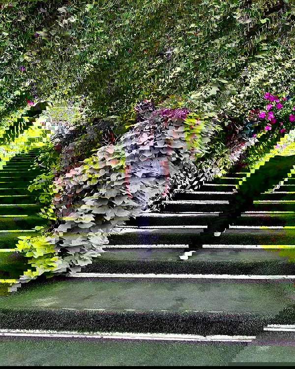 nicole.shpo nicole.shpo archive image