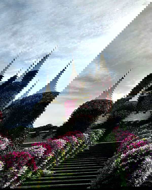 nicole.shpo nicole.shpo archive image