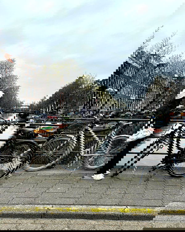 nicole.shpo nicole.shpo archive image