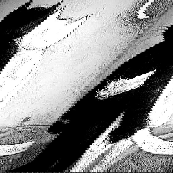 nicole.shpo nicole.shpo archive image