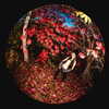nicoleviado Altpins Profile Picture