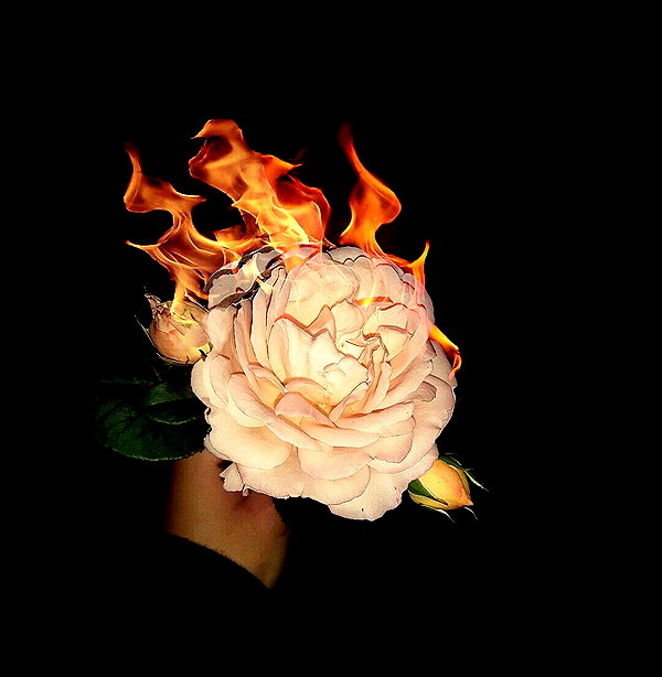 nihilisticfae instagram image archive image