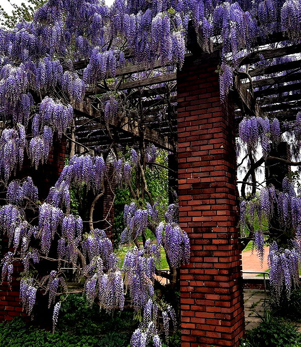 nihilisticfae instagram image archive image