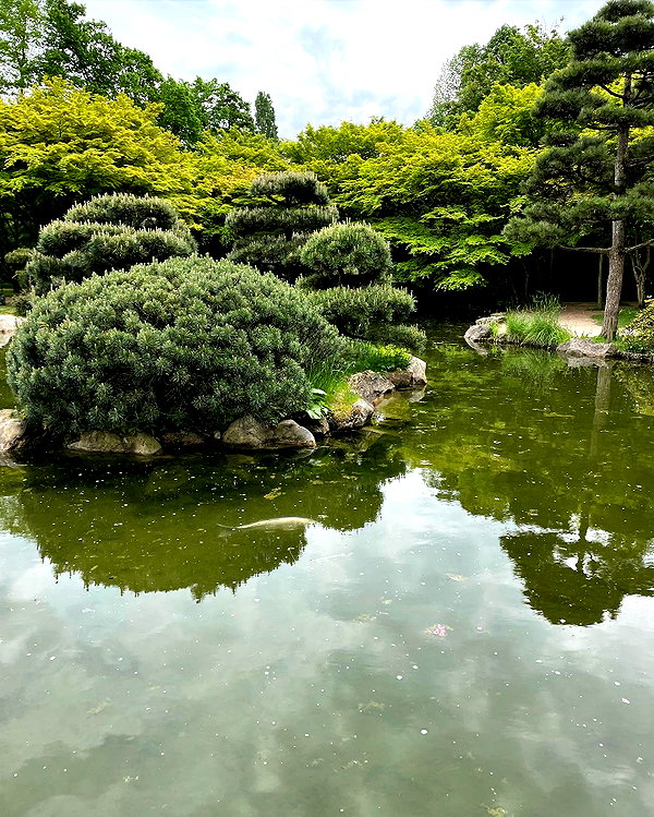 nihilisticfae instagram image archive image