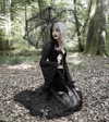nihilisticfae Altpins Profile Picture