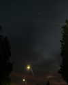 niicolemen Altpins Profile Picture