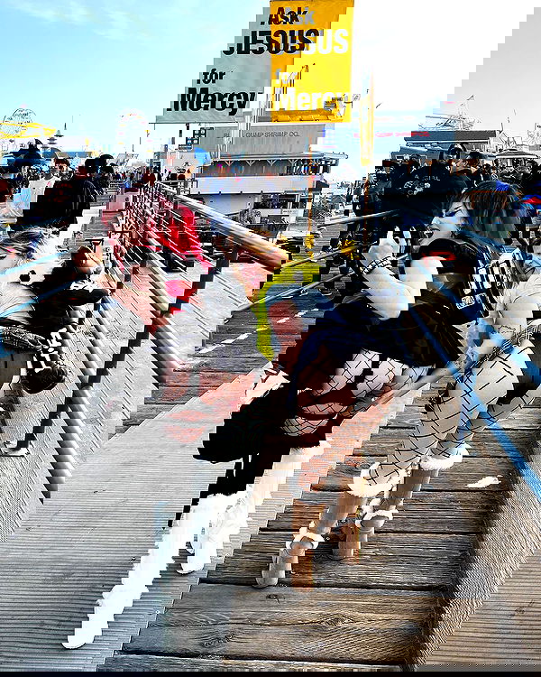 nikkibitez nikkibitez archive image