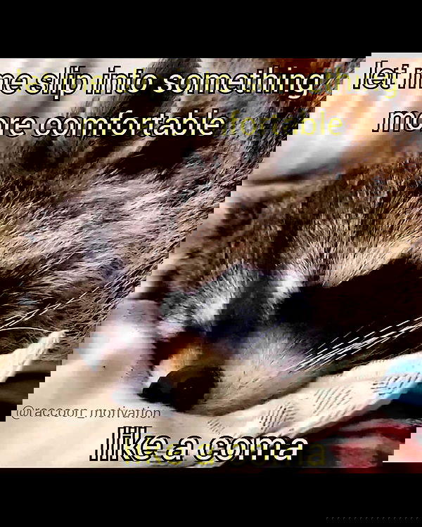 nikkibitez nikkibitez archive image