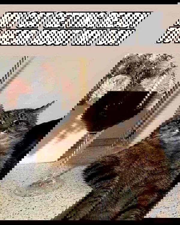 nikkibitez nikkibitez archive image