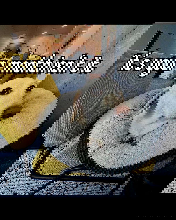 nikkibitez nikkibitez archive image