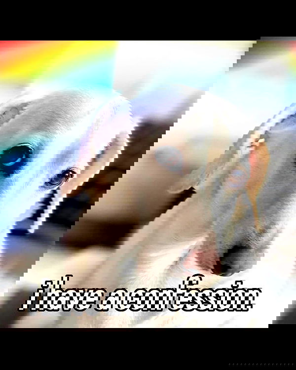 nikkibitez nikkibitez archive image