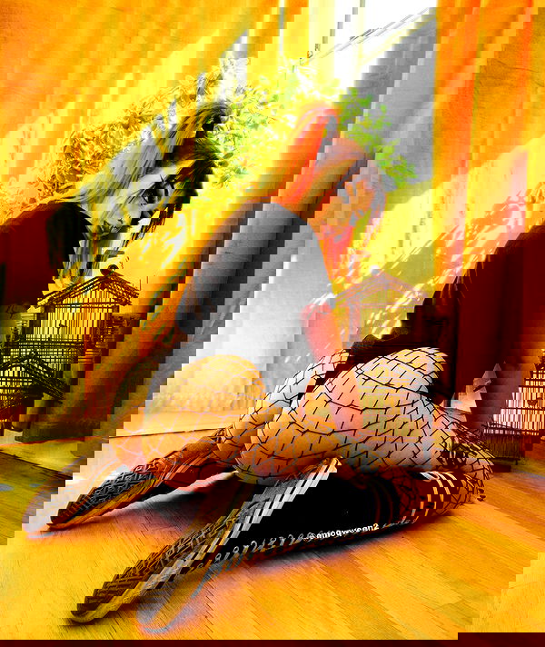 nikkibitez nikkibitez archive image