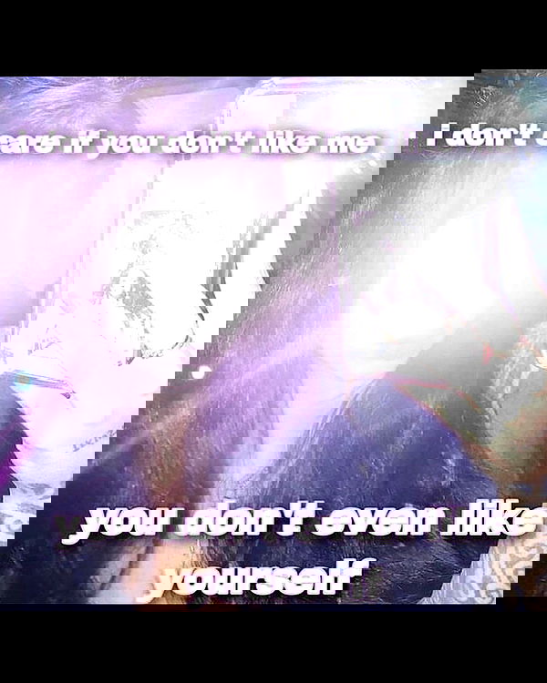 nikkibitez nikkibitez archive image