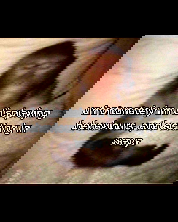 nikkibitez nikkibitez archive image