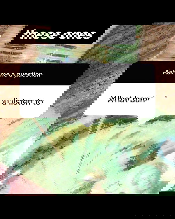 nikkibitez nikkibitez archive image