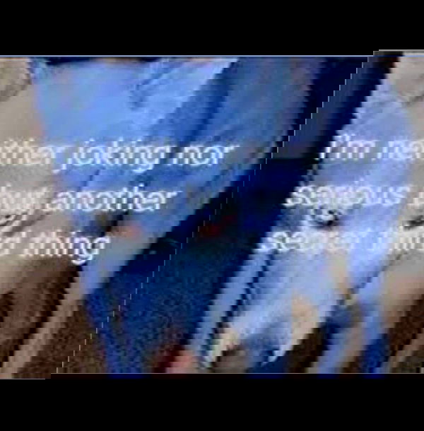 nikkibitez nikkibitez archive image