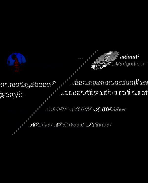 nikkibitez nikkibitez archive image