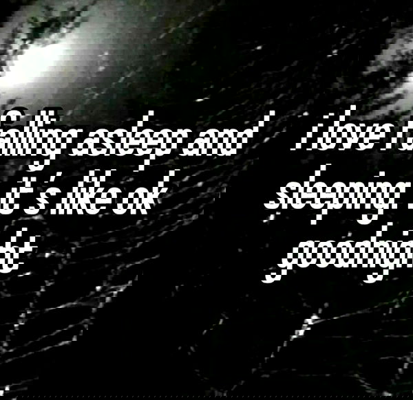 nikkibitez nikkibitez archive image