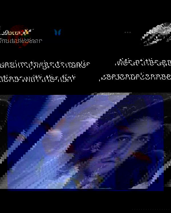 nikkibitez nikkibitez archive image