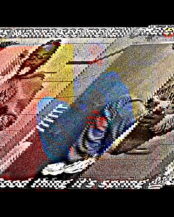 nikkibitez nikkibitez archive image