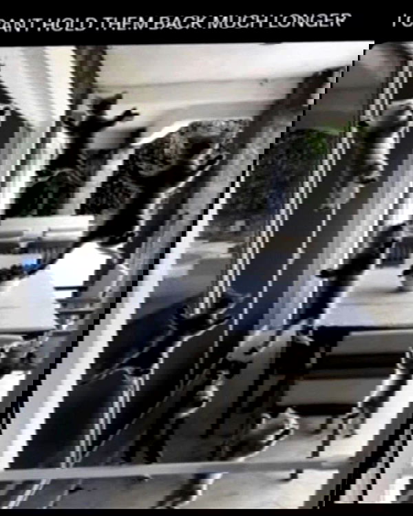 nikkibitez nikkibitez archive image