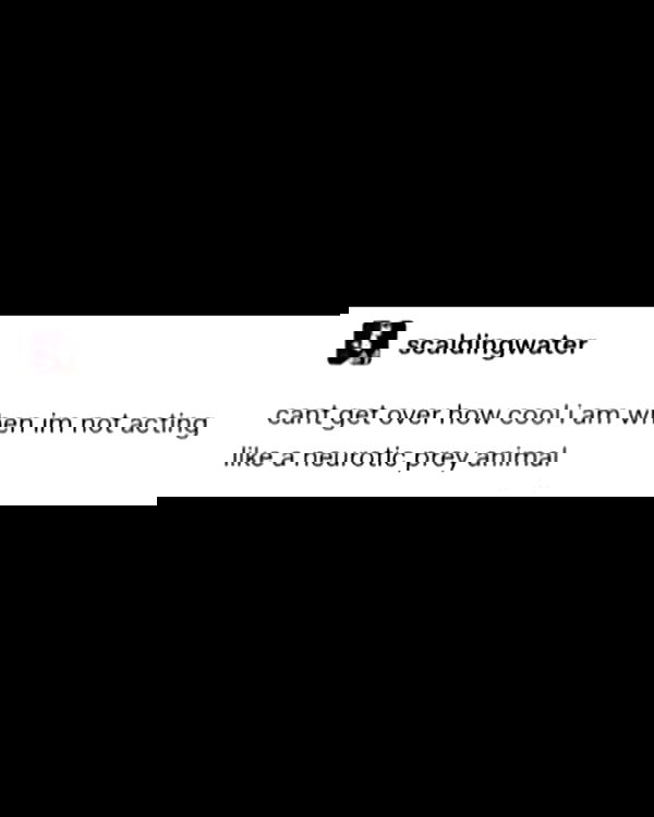 nikkibitez nikkibitez archive image