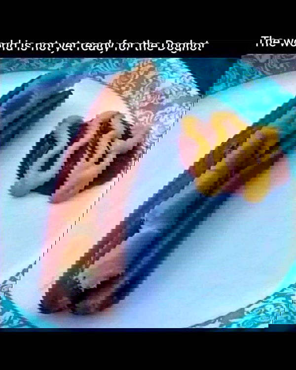 nikkibitez nikkibitez archive image