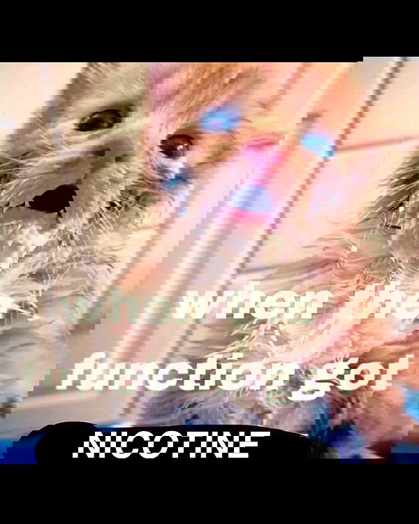 nikkibitez nikkibitez archive image