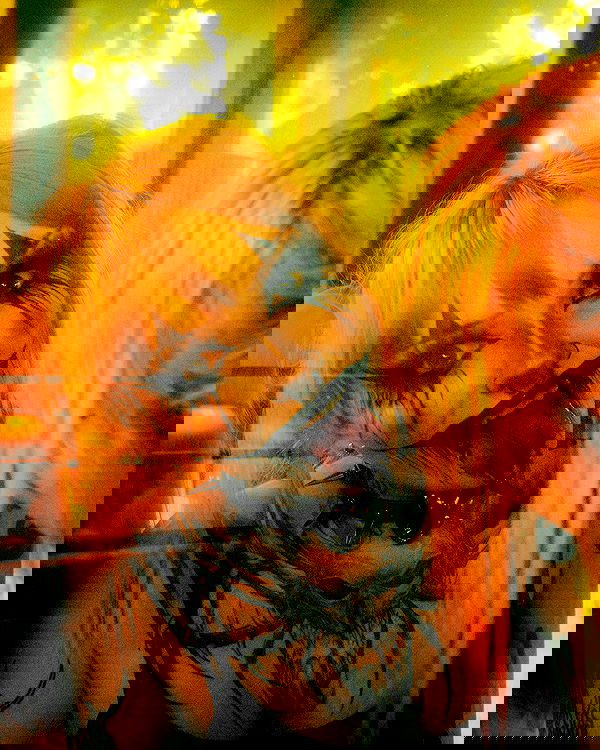 nikkibitez nikkibitez archive image