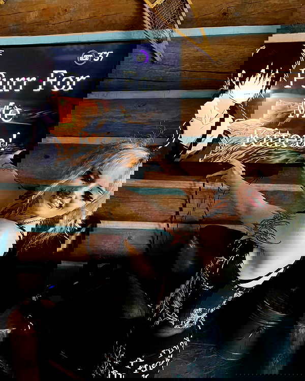 nikkibitez nikkibitez archive image