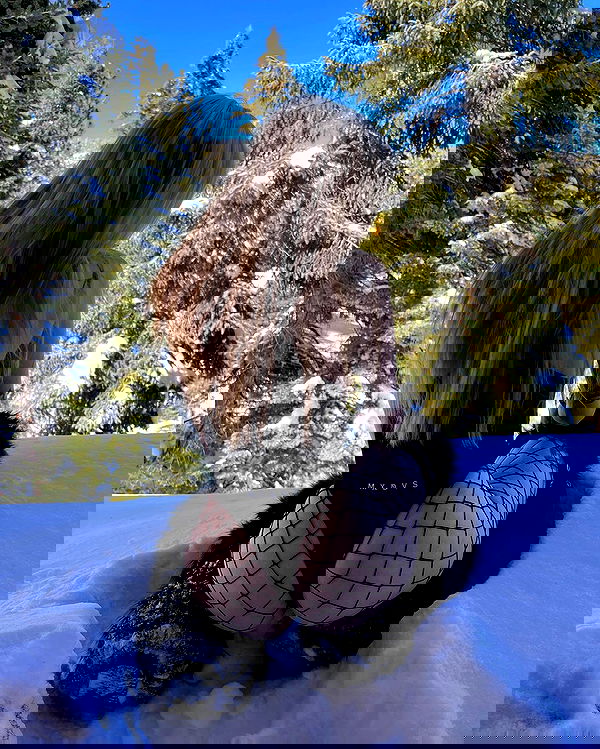 nikkibitez nikkibitez archive image