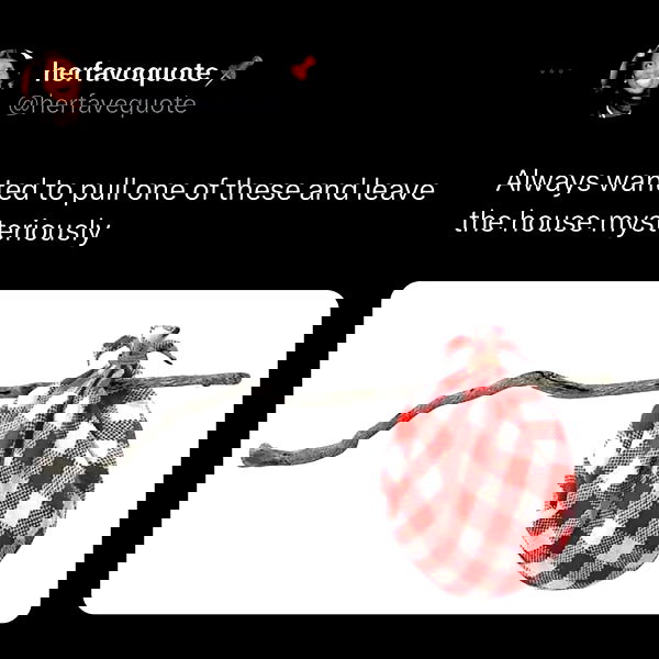 nikkibitez nikkibitez archive image