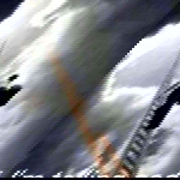 nikkibitez nikkibitez archive image