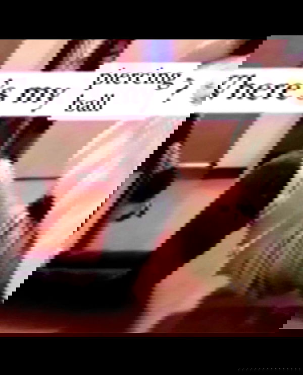 nikkibitez nikkibitez archive image