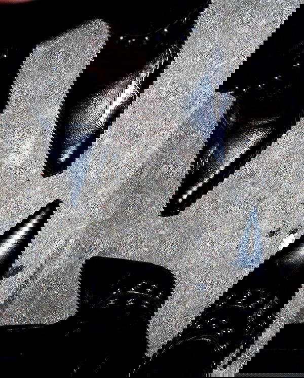 nikkibitez nikkibitez archive image