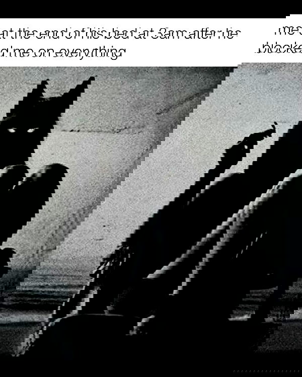 nikkibitez nikkibitez archive image