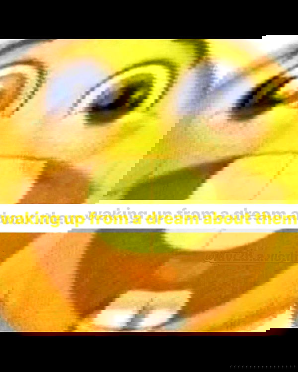 nikkibitez nikkibitez archive image